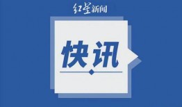 中国队最新爆料消息视频,视频内容深度解析
