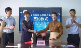 向阳小学爆料视频最新消息,揭秘校园内幕，真相令人震惊！